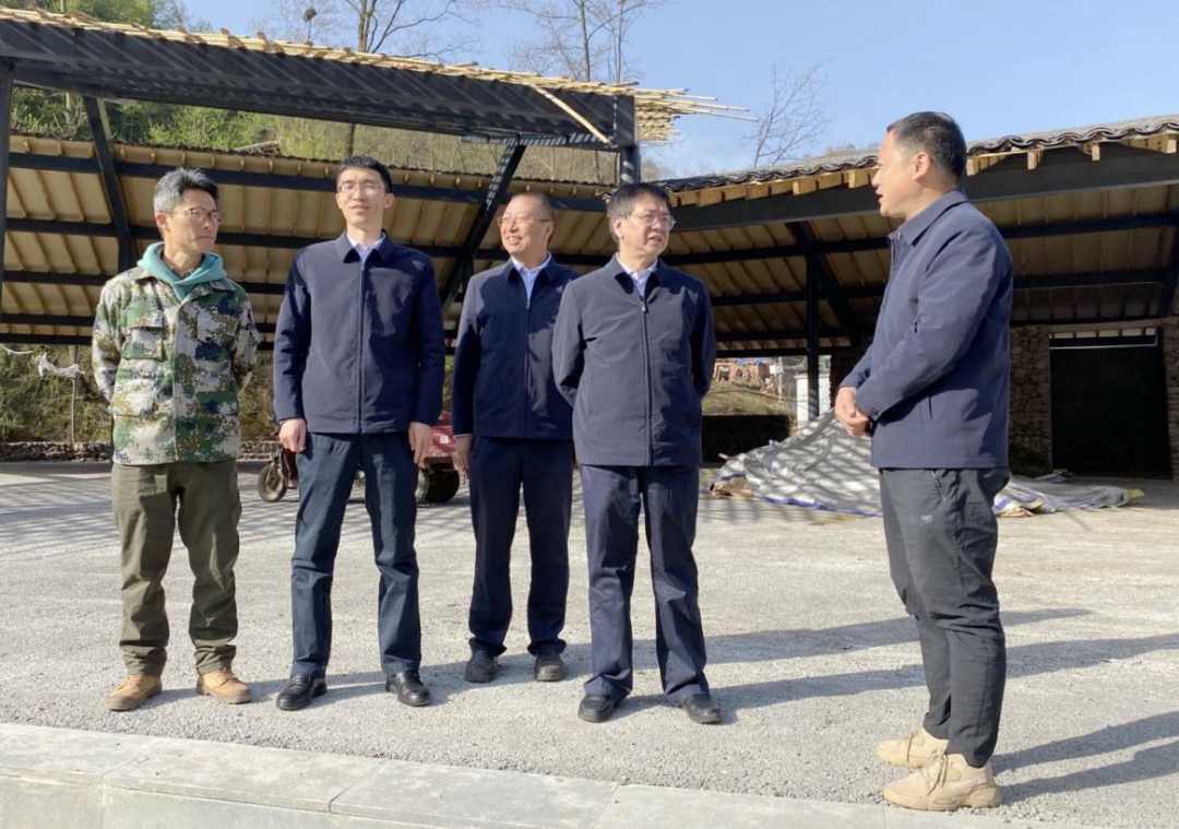 利来国际老牌-利来国际w66